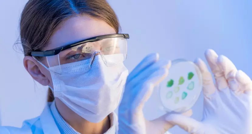 Источник: Анализ продуктов питания — фотография 1