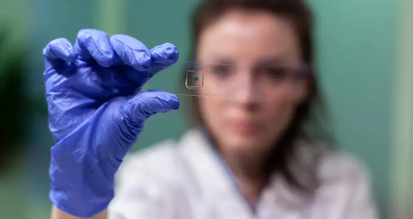 Источник: Микробиологический анализ — фотография 1