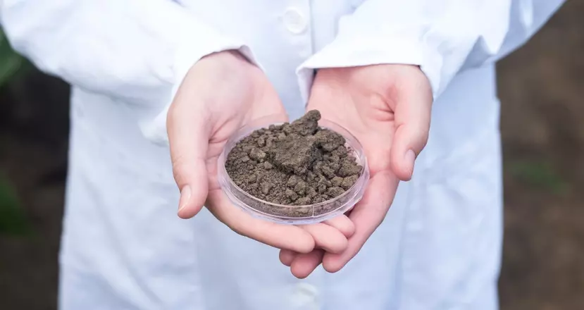 Источник: Анализ почвы — фотография 1