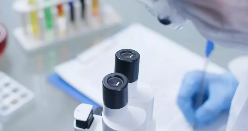 Источник: Лабораторные исследования — фотография 1