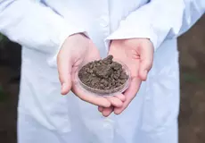 Анализ почвы